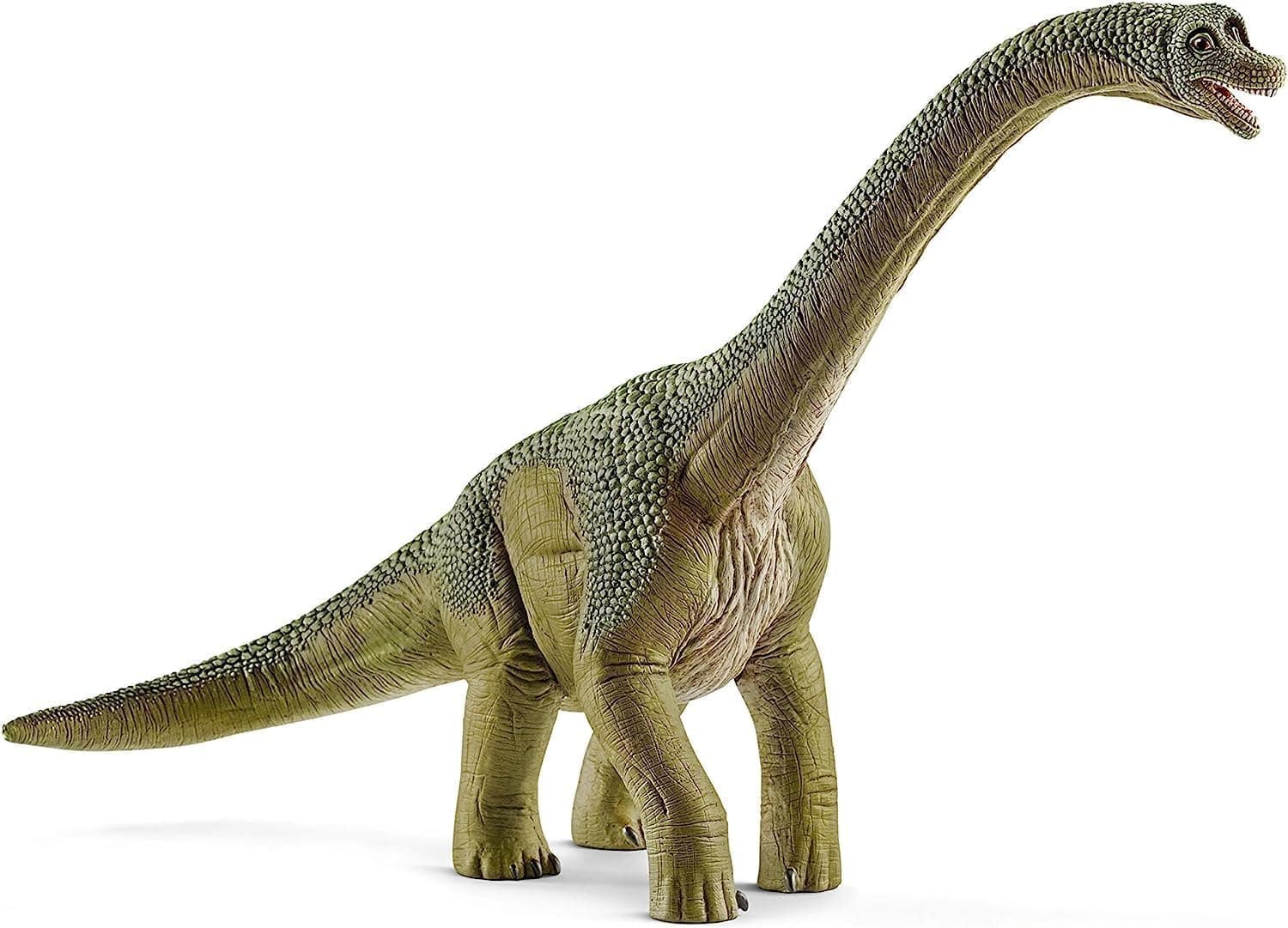SCHLEICH Dinosaurs | Brachiosaurus 14581 | detailgetreuer Dino | Dino Spielzeug zum Sammeln | tolles Geschenk für Mädchen und Jungen Dinosaurier Spielzeug ab 3 Jahre | 30 x 12 x 19 cm
